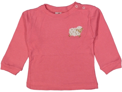 KIZ 6/24 AY WAFFLE OMUZDAN ÇITÇITLI KUZULU BADİ