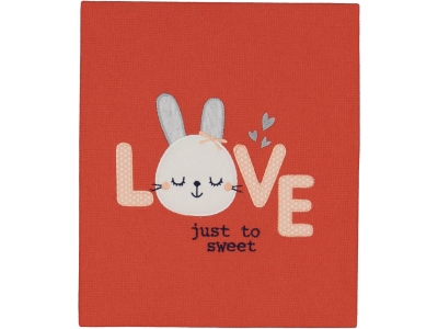 UNISEX 1/12 AY 80*90 LOVE TAVŞAN NAKIŞLI BATTANİYE