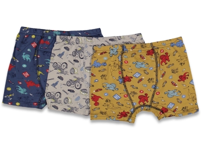 ERKEK 10/11  YAŞ  KARIŞIK BASKILI 12'Lİ BOXER